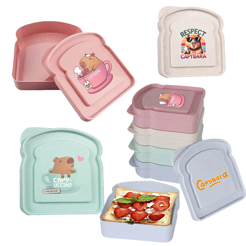 Food Snacks Box - Capybara Sandviç Gıda Saklama Kutusu Konteyner
